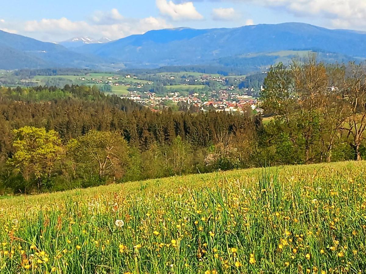 Ferienhaus Kaerntnergmiat Feldkirchen in Kärnten Exterior foto